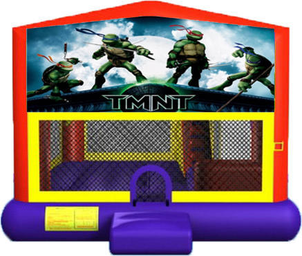 Teenage Mutant Ninja Turtles 4-in-1 Combo