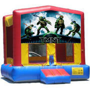 Teenage Mutant Ninja Turtles Bouncer - 15x15