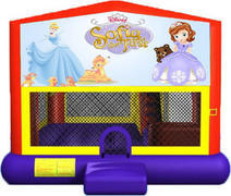 Sofia The First 4-in-1 Combo